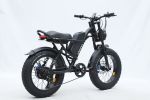 Ebike,750W Motor,48V15.6Ah Battery,20 Inches,Maximum Speed 45KM