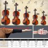 (Do Not Sell on Amazon)Glarry GV100 4/4 Acoustic Violin Case Bow Rosin Strings Tuner Shoulder Rest Natural