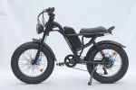 Ebike,750W Motor,48V15.6Ah Battery,20 Inches,Maximum Speed 45KM