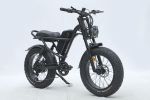 Ebike,750W Motor,48V15.6Ah Battery,20 Inches,Maximum Speed 45KM